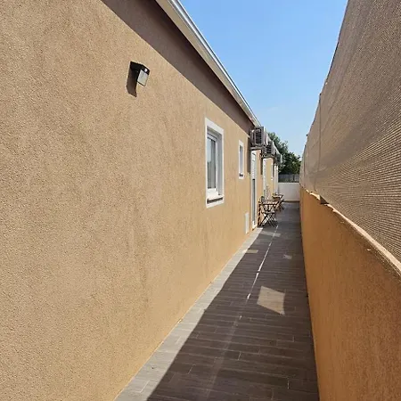 Curtido House Suits * Ílhavo