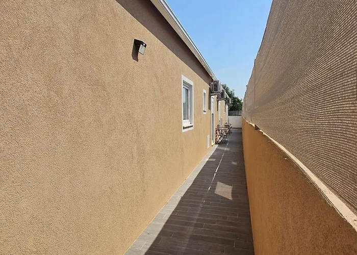 Curtido House Suits * Ílhavo